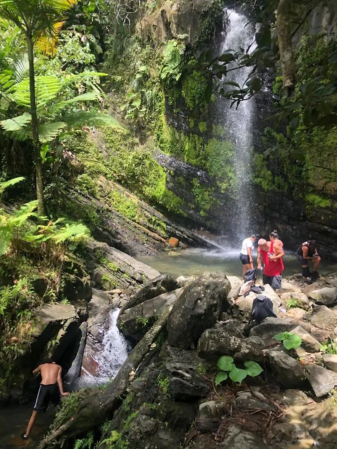 Lucky Luquillo Solar El Yunque & Beach Retreat - 360 Ocean & Rainforest Views Playa Fortuna