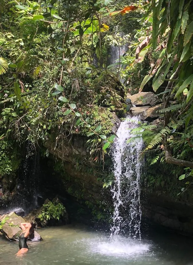 Lucky Luquillo Solar El Yunque & Beach Retreat - 360 Ocean & Rainforest Views Playa Fortuna Appartement