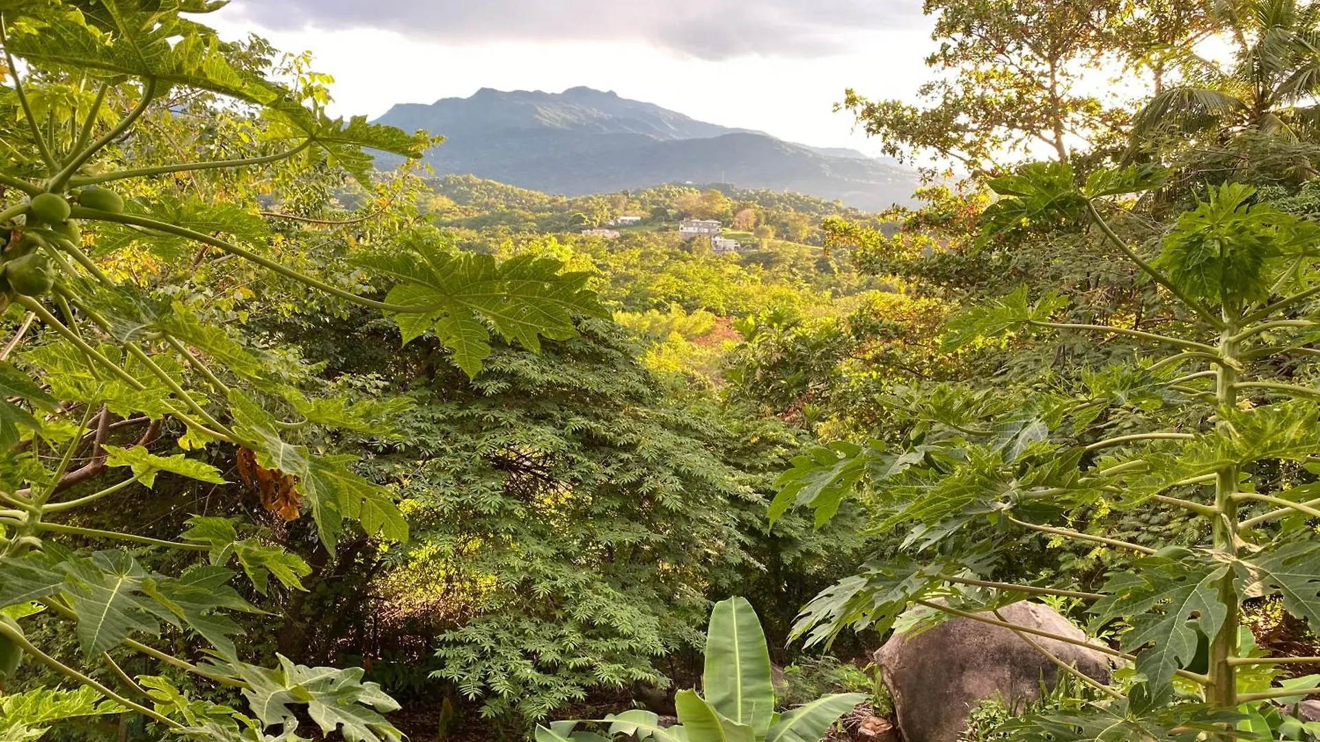 Lucky Luquillo Solar El Yunque & Beach Retreat - 360 Ocean & Rainforest Views Playa Fortuna Appartement